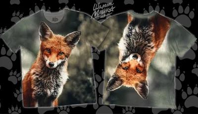 Футболки с полной запечаткой: лиса (2)